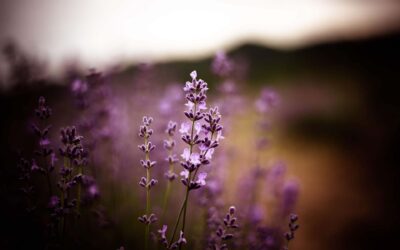 La mente y el cuerpo están íntimamente ligados a través de los sistemas inmunitario, endócrino y nervioso central