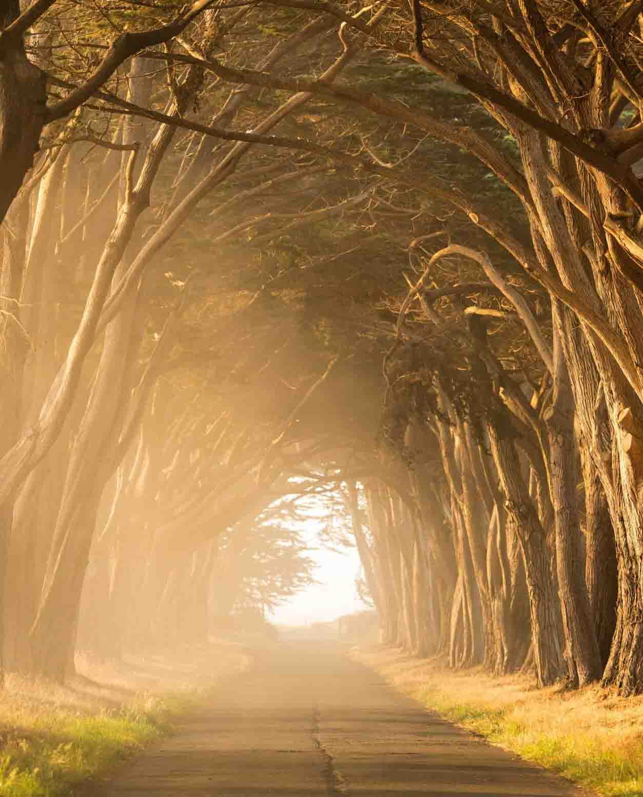 stephen-leonardi-gyIRjKPXupE-unsplash2